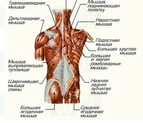 Masseuse Russe