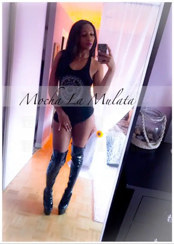 Mocha La Mulata