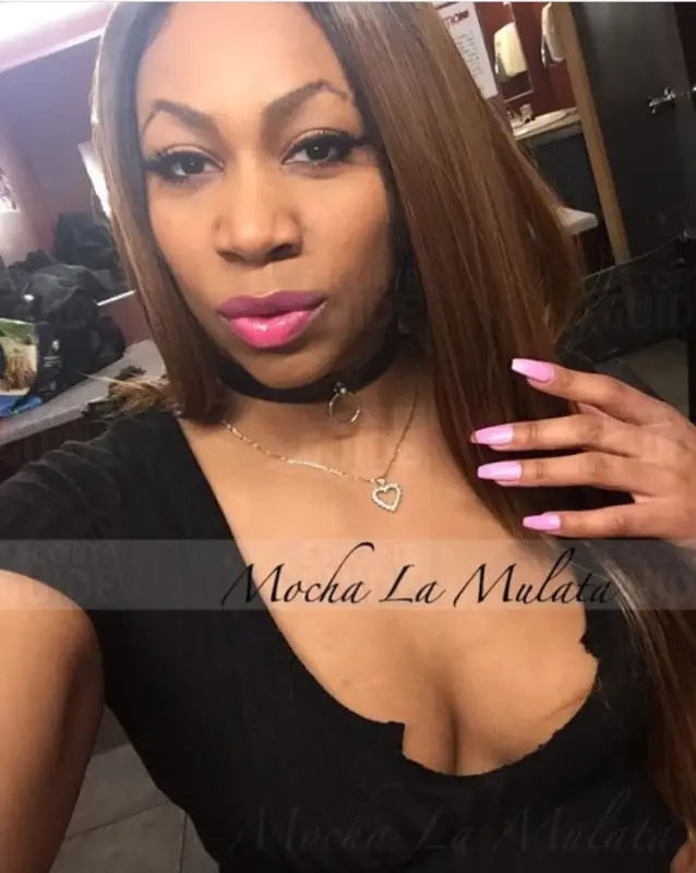 Mocha La Mulata