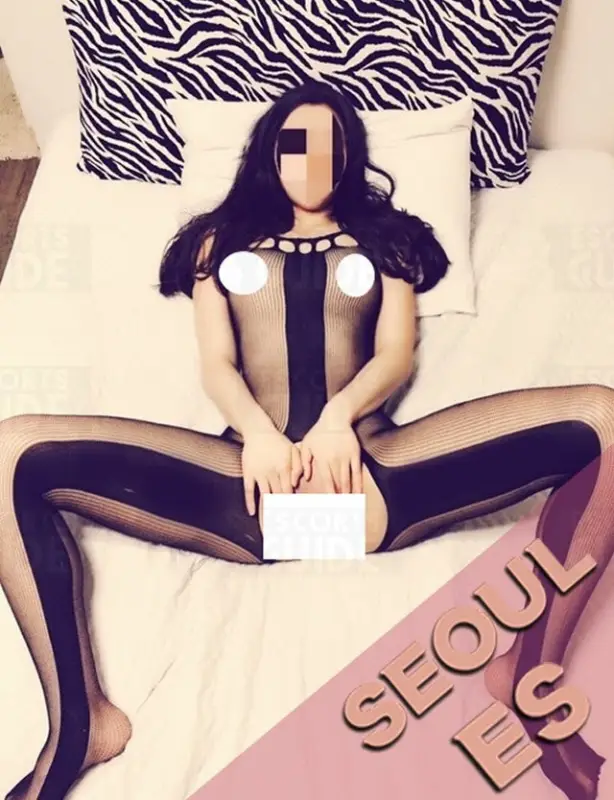 Seoul Elite Korean Escorts Agency