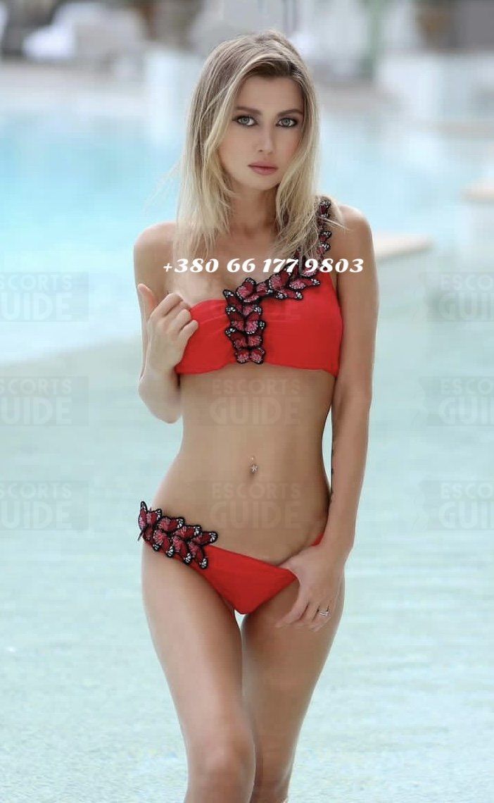 LINA Full Service