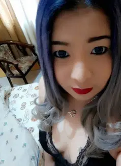 Asian chubby licious